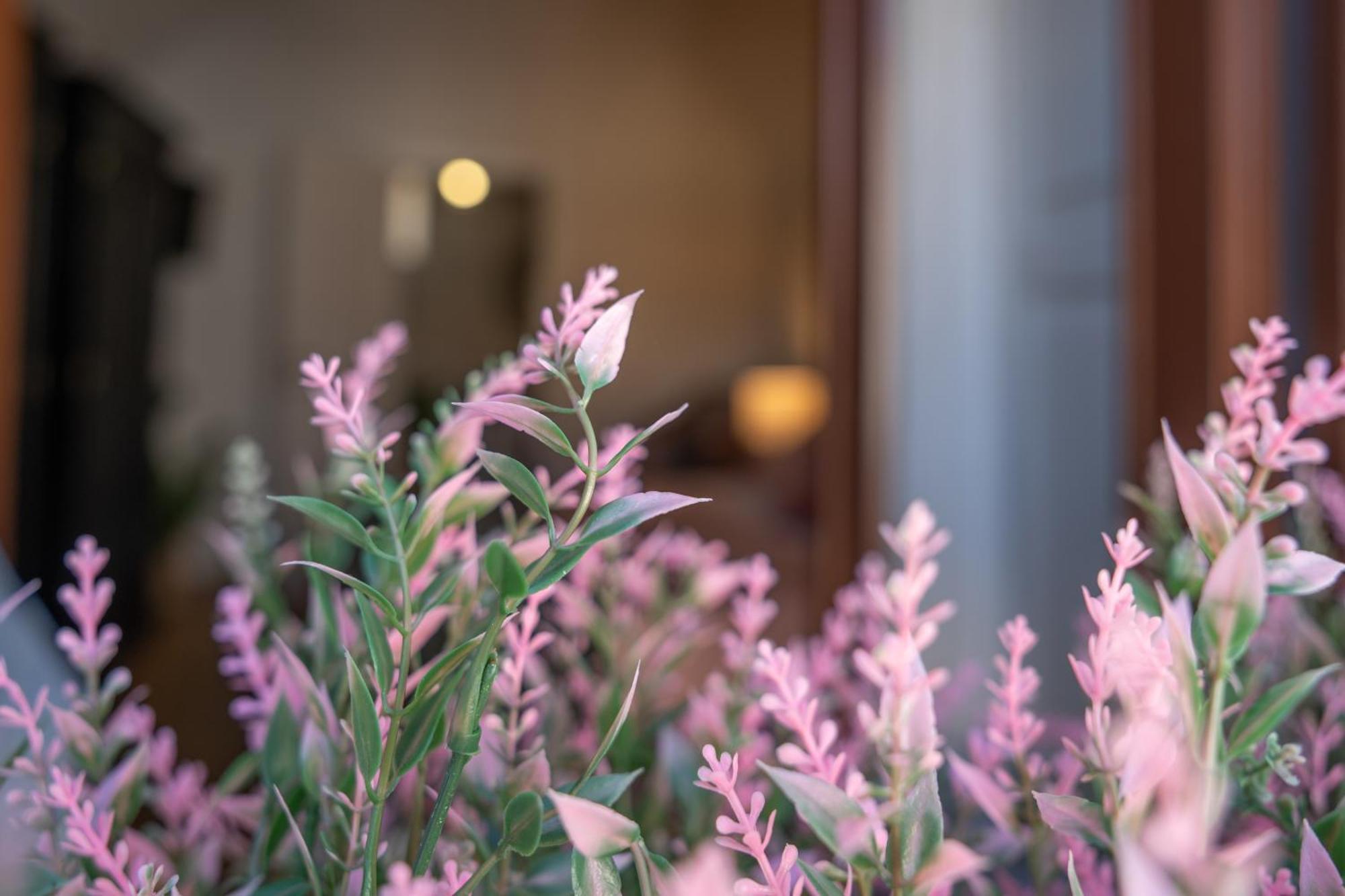 Mirone - Suite Apartments Catania Centro Luaran gambar